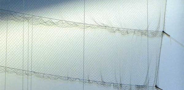 Mist-Nets