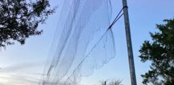 Mist-Nets